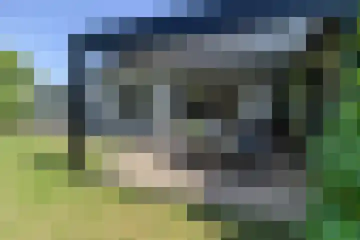 Zeekraalstraat 17 Nieuwvliet thumbnail 27