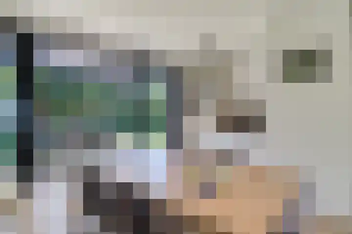 Zeekraalstraat 17 Nieuwvliet thumbnail 9