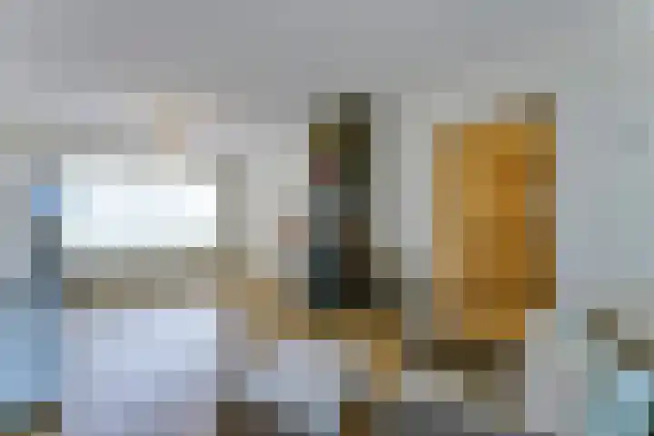 Zeekraalstraat 29 Nieuwvliet thumbnail 11