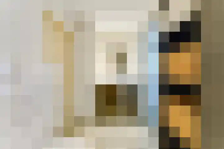 Zeekraalstraat 29 Nieuwvliet thumbnail 13