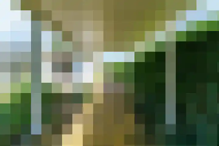 Zeekraalstraat 29 Nieuwvliet thumbnail 18