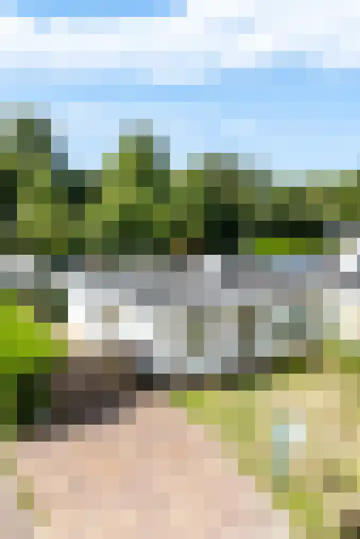 Zeekraalstraat 29 Nieuwvliet thumbnail 20