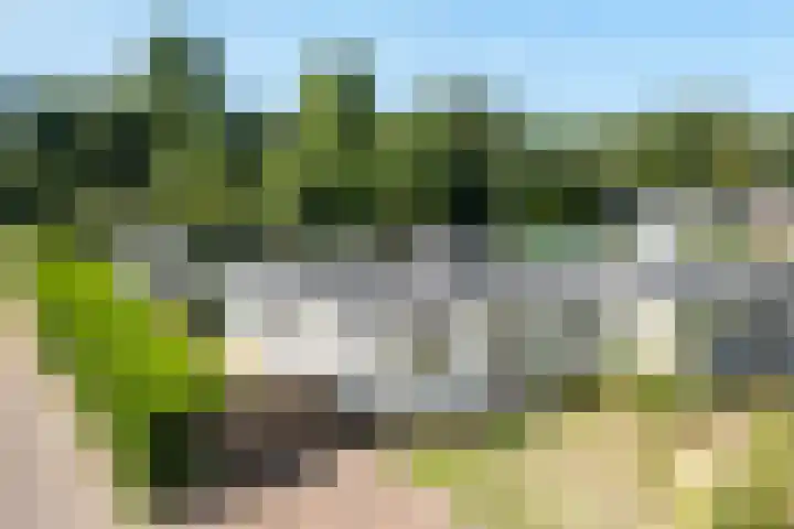 Zeekraalstraat 29 Nieuwvliet thumbnail 21