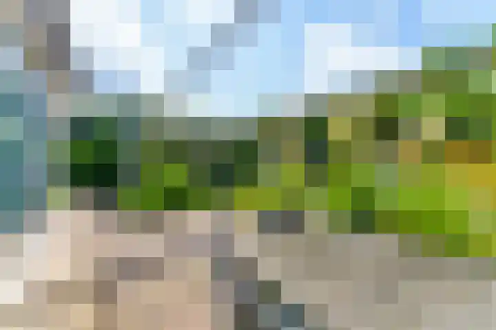 Zeekraalstraat 29 Nieuwvliet thumbnail 4