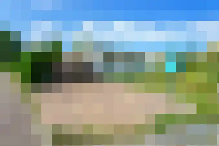 Zeekraalstraat 29 Nieuwvliet thumbnail 6