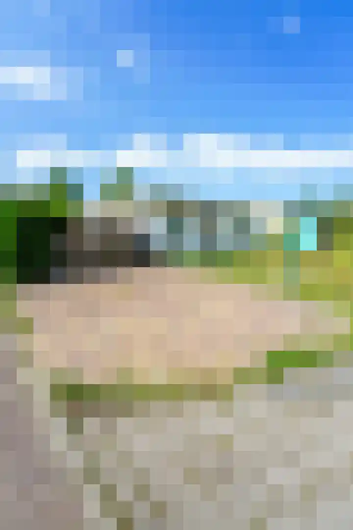 Zeekraalstraat 29 Nieuwvliet thumbnail 7