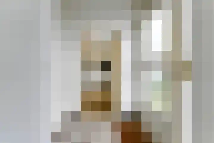 Zeekraalstraat 29 Nieuwvliet thumbnail 8