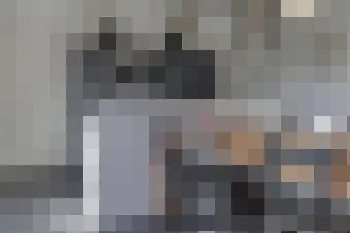 Zeekraalstraat 6 Nieuwvliet thumbnail 11