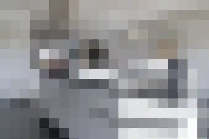 Zeekraalstraat 6 Nieuwvliet thumbnail 12