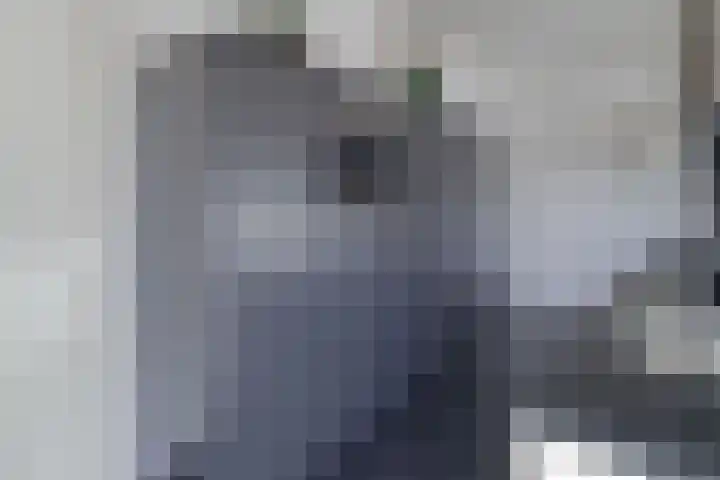 Zeekraalstraat 6 Nieuwvliet thumbnail 13