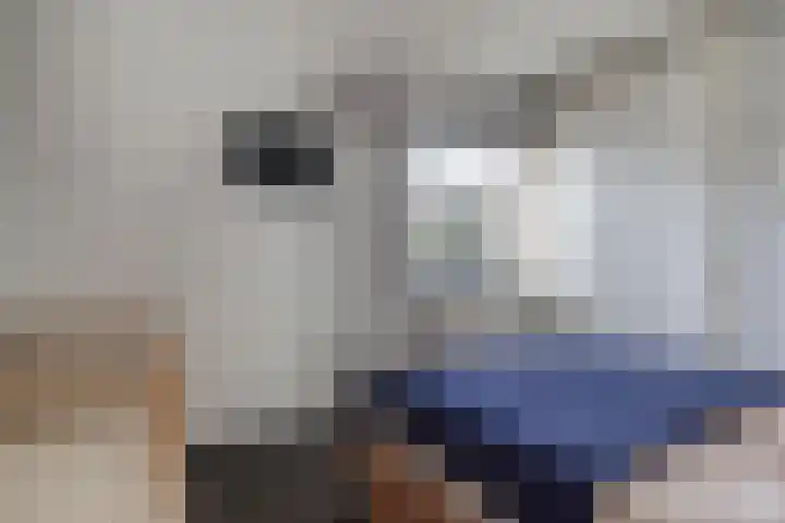 Zeekraalstraat 6 Nieuwvliet thumbnail 16