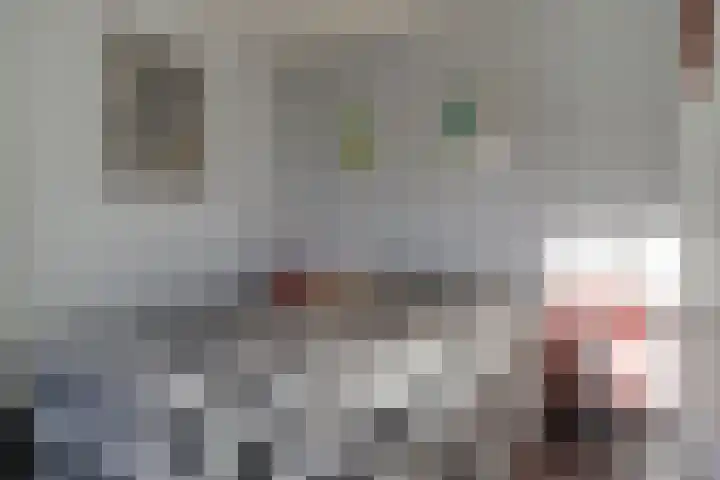 Zeekraalstraat 6 Nieuwvliet thumbnail 20