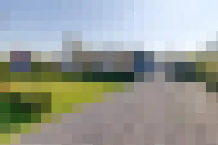 Zeekraalstraat 6 Nieuwvliet thumbnail 23
