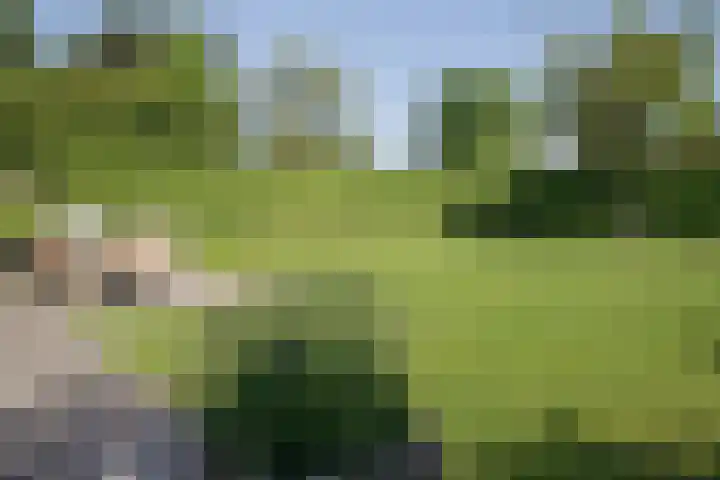Zeekraalstraat 6 Nieuwvliet thumbnail 25