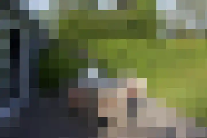 Zeekraalstraat 6 Nieuwvliet thumbnail 26
