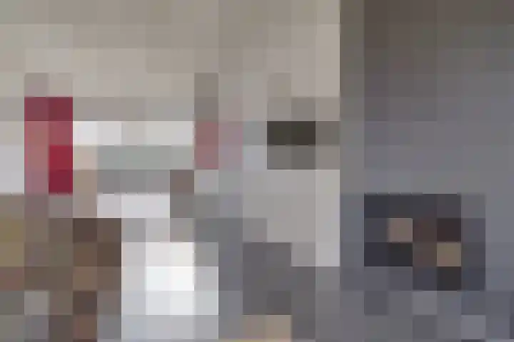 Zeekraalstraat 6 Nieuwvliet thumbnail 8