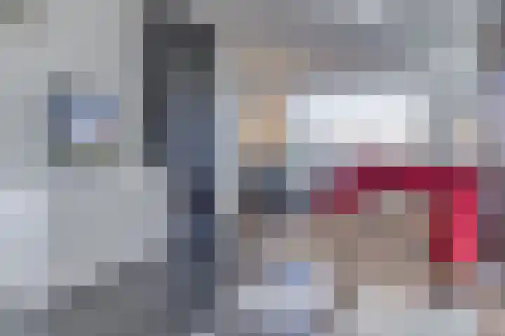 Zeekraalstraat 6 Nieuwvliet thumbnail 9