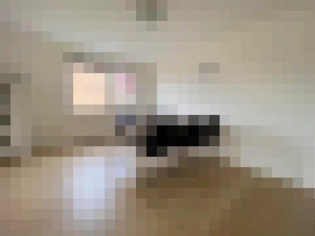 Zeelandiahoeve 124 Amstelveen thumbnail 5