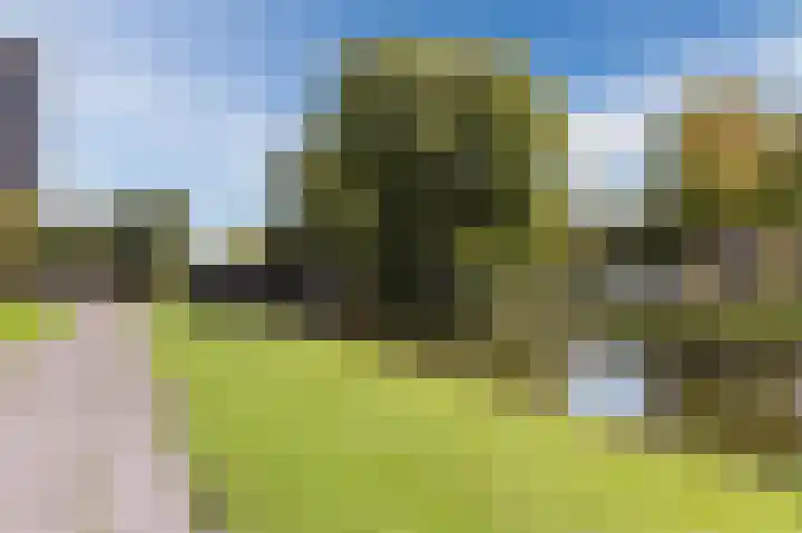 Zeelandiahoeve 171 Amstelveen thumbnail 31