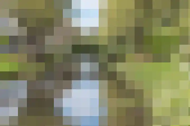 Zeelandiahoeve 173 Amstelveen thumbnail 17
