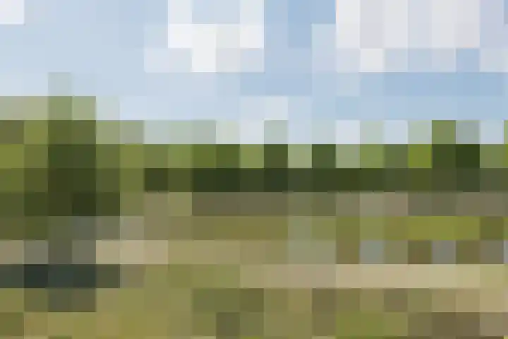 Zeelandiahoeve 173 Amstelveen thumbnail 4