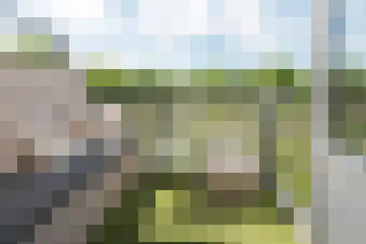 Zeelandiahoeve 173 Amstelveen thumbnail 5