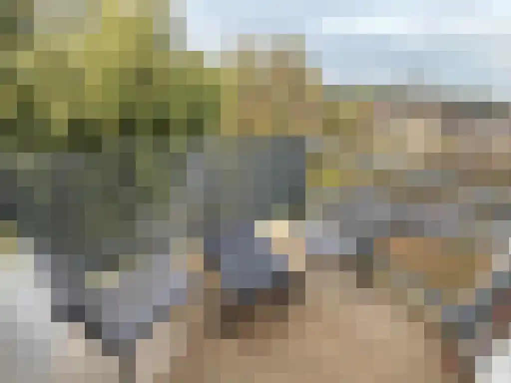 Zeelandiahoeve 183 Amstelveen thumbnail 5