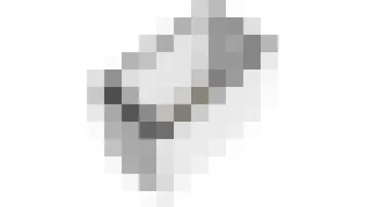 Zeelandiahoeve 197 Amstelveen thumbnail 31
