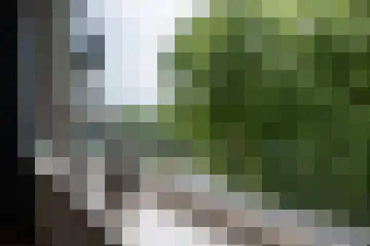 Zeelandiahoeve 227 Amstelveen thumbnail 14