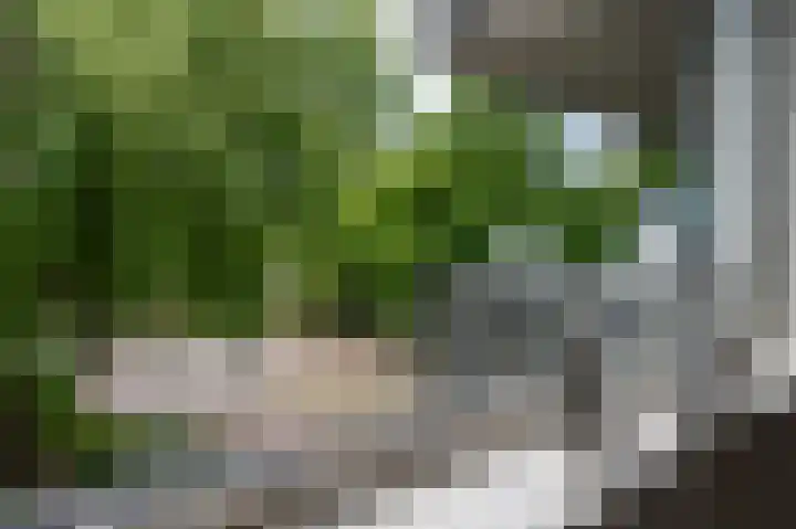 Zeelandiahoeve 227 Amstelveen thumbnail 15