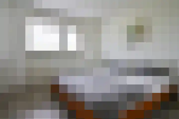 Zeelandiahoeve 227 Amstelveen thumbnail 19