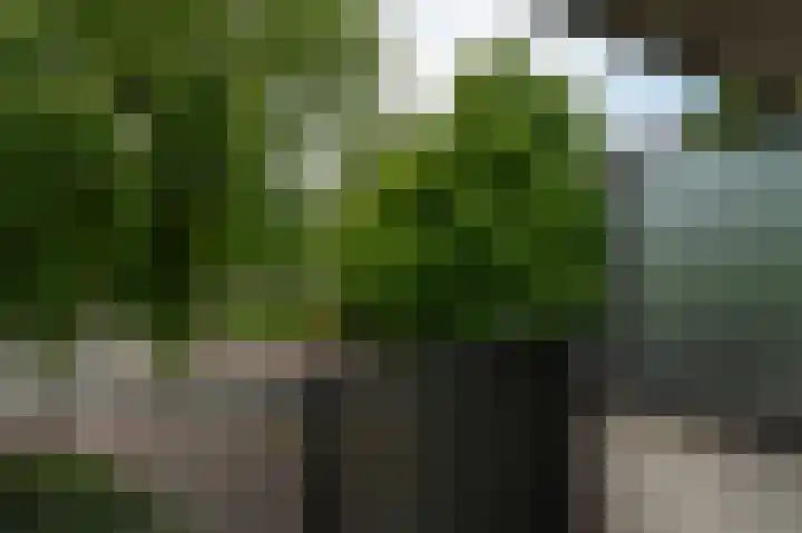 Zeelandiahoeve 227 Amstelveen thumbnail 30