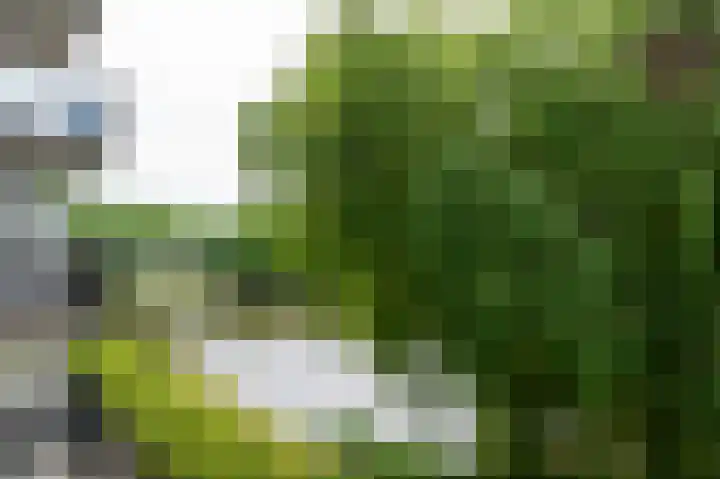 Zeelandiahoeve 227 Amstelveen thumbnail 31