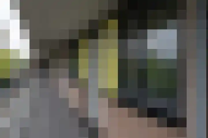 Zeelandiahoeve 227 Amstelveen thumbnail 33