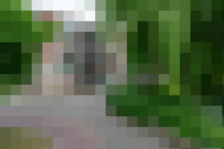 Zeelandiahoeve 227 Amstelveen thumbnail 44