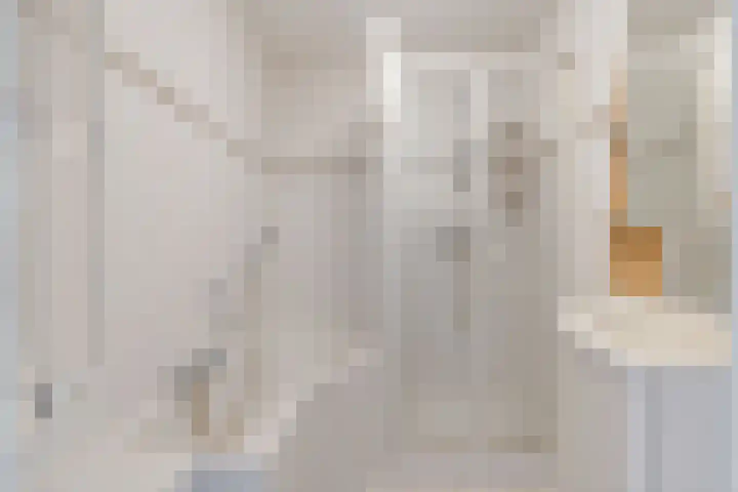 Zeelandiahoeve 271 Amstelveen thumbnail 18