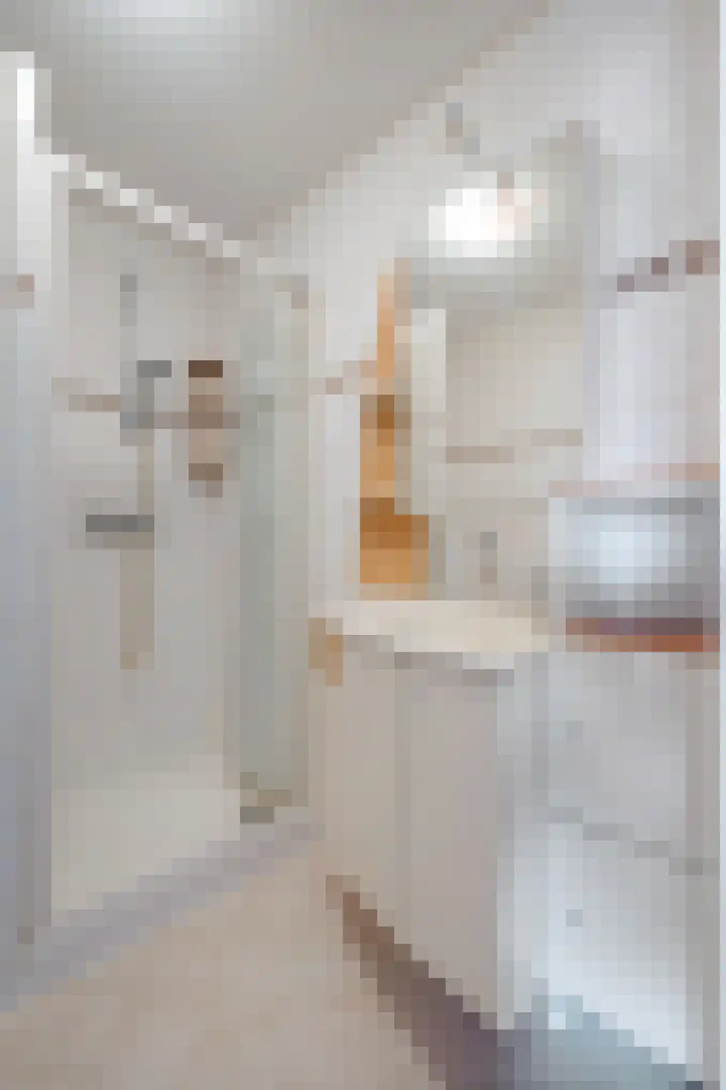 Zeelandiahoeve 271 Amstelveen thumbnail 20