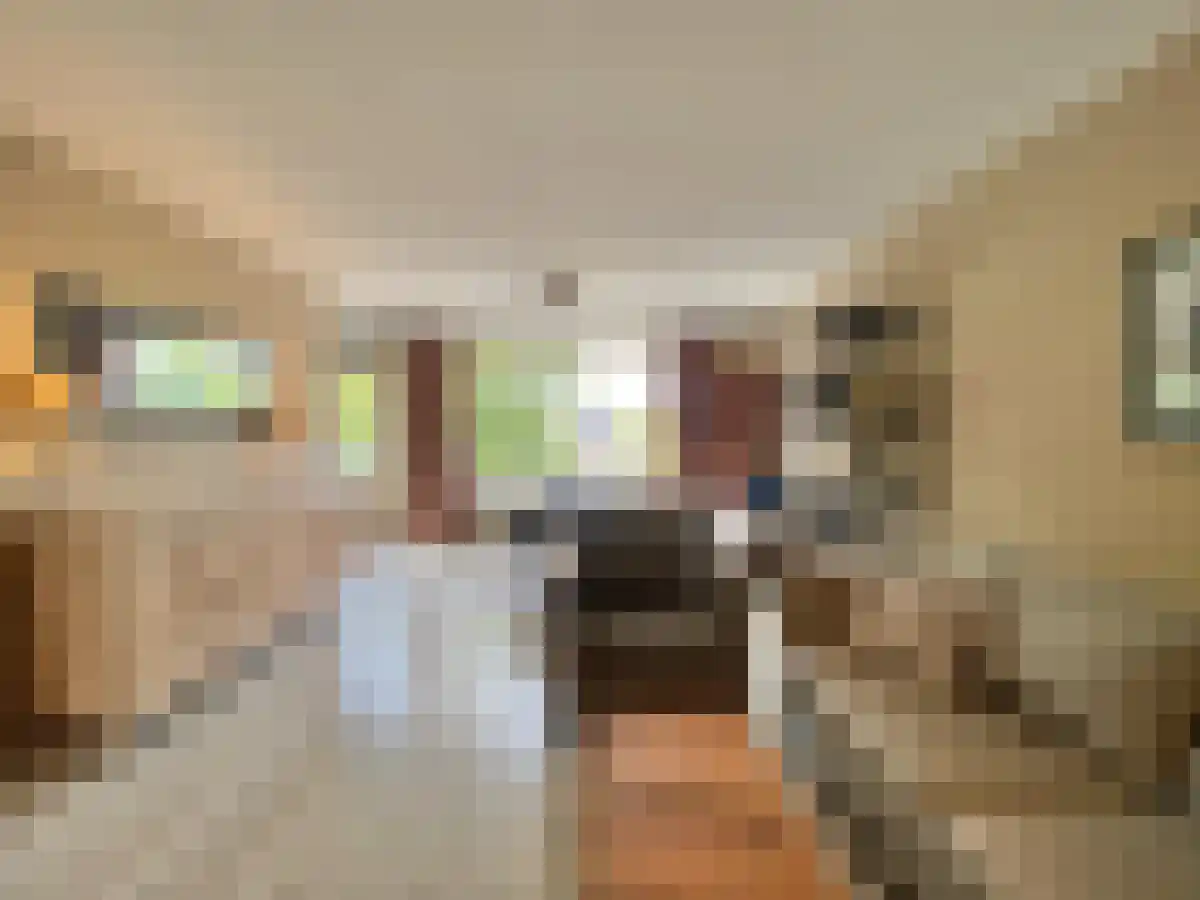 Zeelandiahoeve 271 Amstelveen thumbnail 4