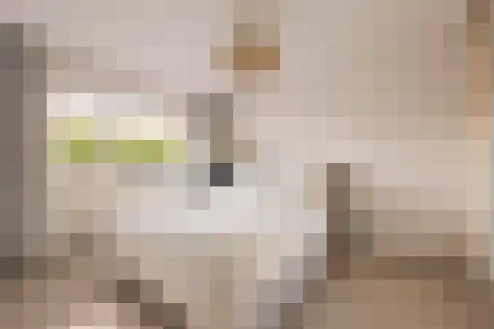 Zeelandiahoeve 281 Amstelveen thumbnail 10