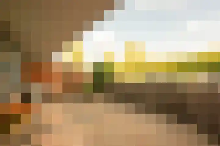 Zeelandiahoeve 281 Amstelveen thumbnail 17