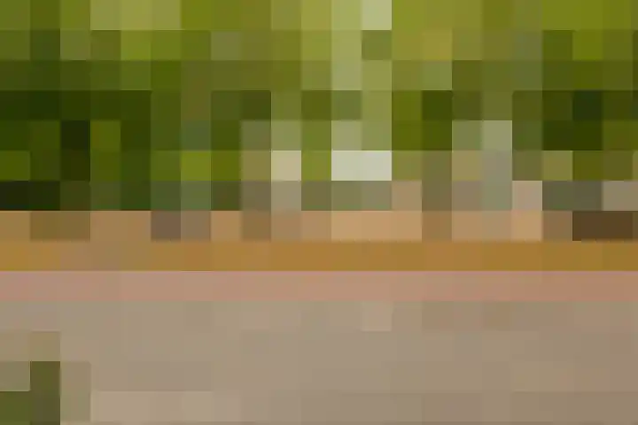 Zeelandiahoeve 281 Amstelveen thumbnail 20