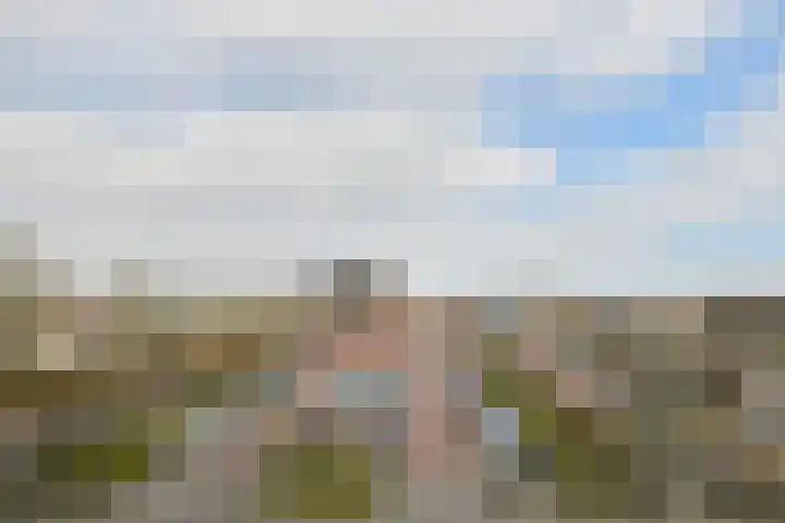 Zeelandiahoeve 77 Amstelveen thumbnail 16