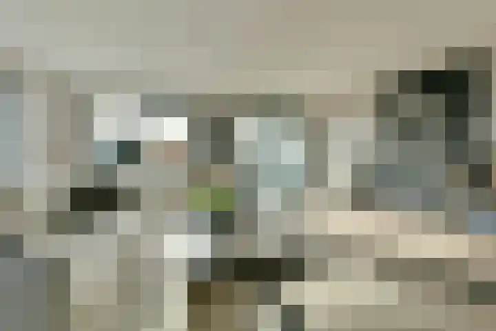 Zeelandiahoeve 77 Amstelveen thumbnail 6