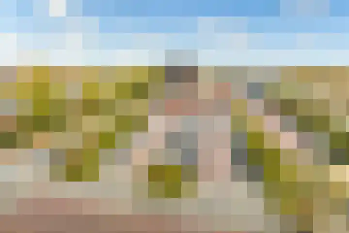 Zeelandiahoeve 89 Amstelveen thumbnail 19