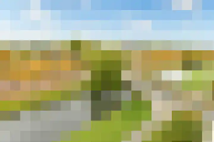 Zeelandiahoeve 89 Amstelveen thumbnail 8