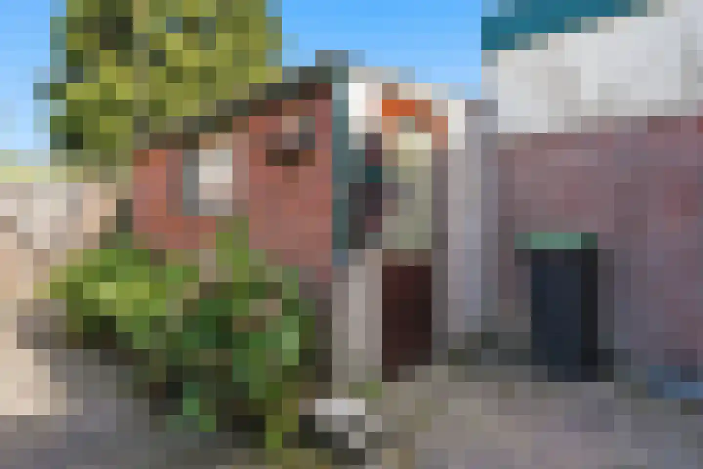 Zeelandiaplein 3 Oost-Souburg thumbnail 14