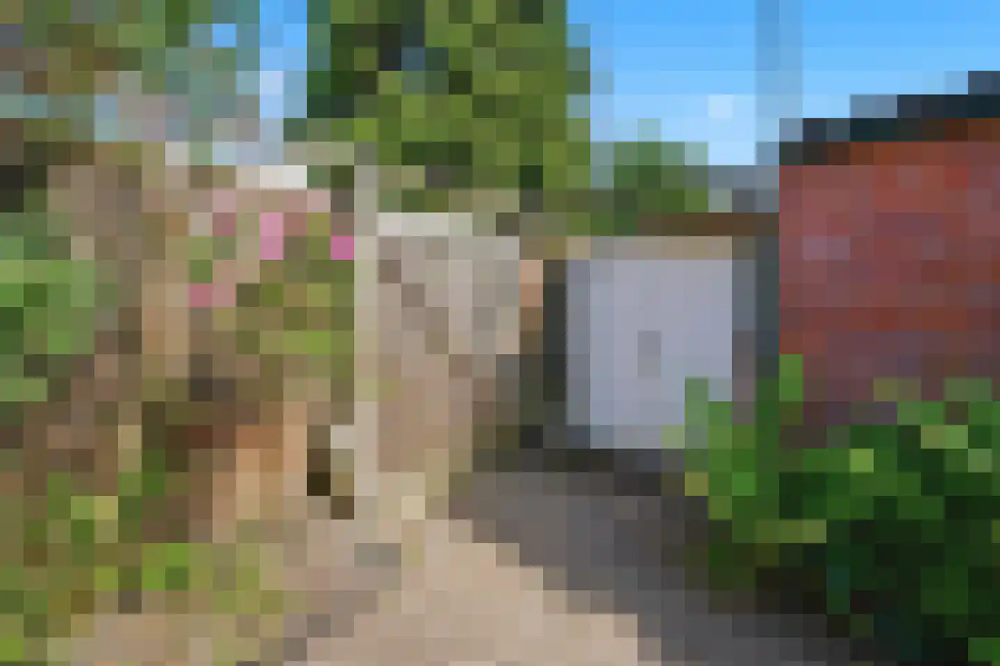 Zeelandiaplein 3 Oost-Souburg thumbnail 16