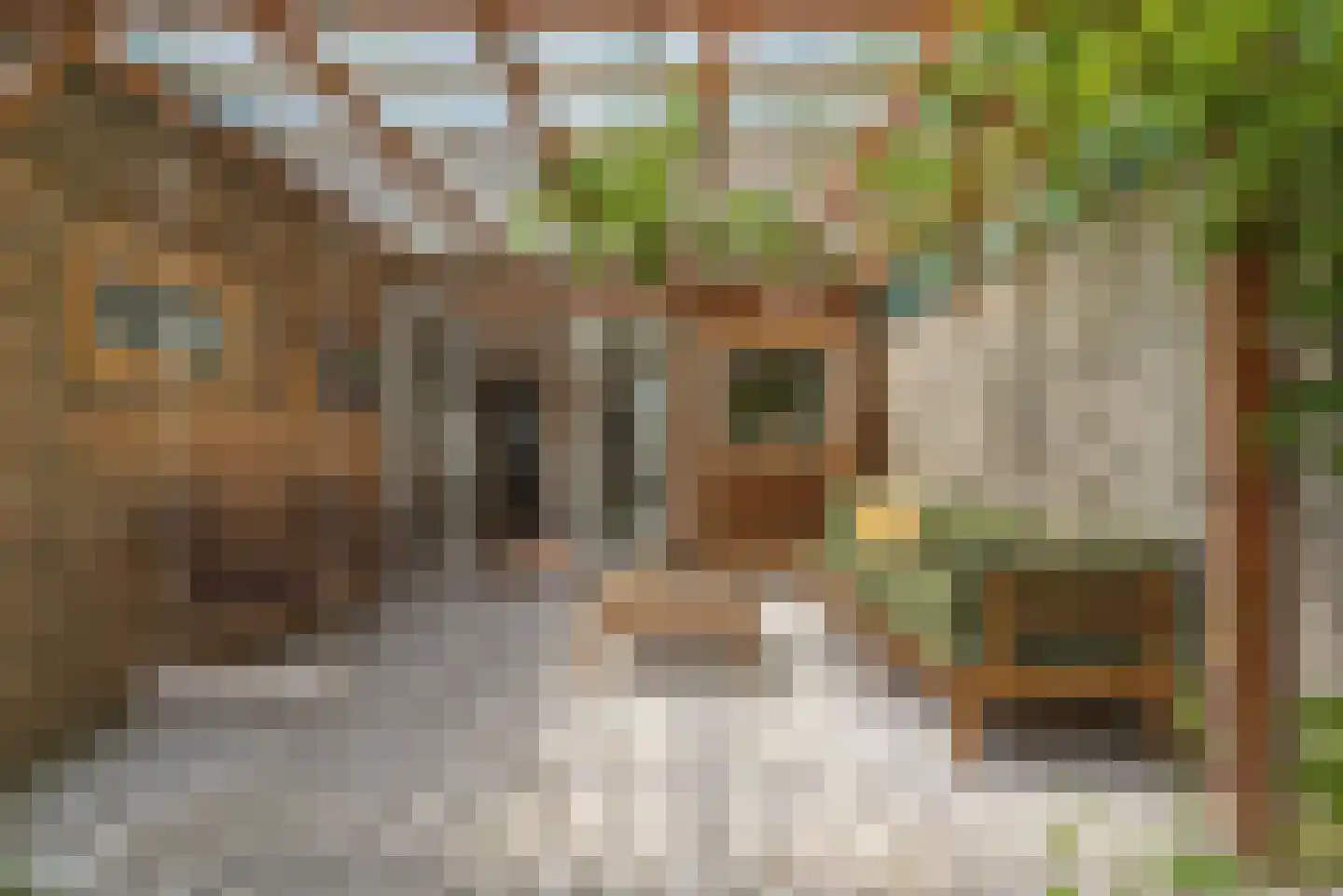 Zeelandiaplein 5 Oost-Souburg thumbnail 31