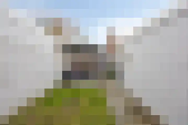 Zeelandiaplein 9 Oost-Souburg thumbnail 4
