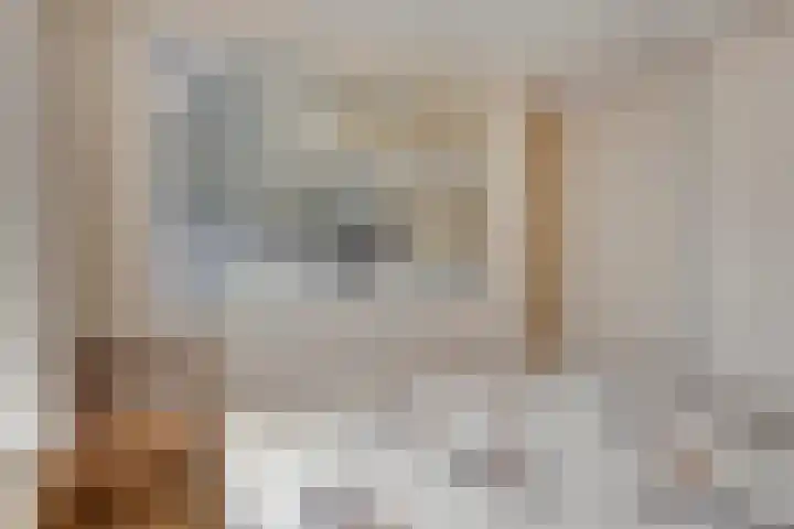 Zeelandiastraat 1 Sas van Gent thumbnail 11